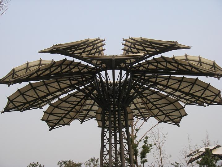 春天的石港......