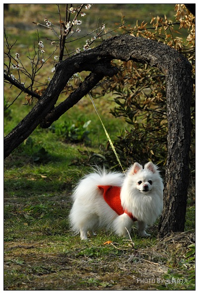 [原创]《2008年初春的一些零碎——走在西山古村》