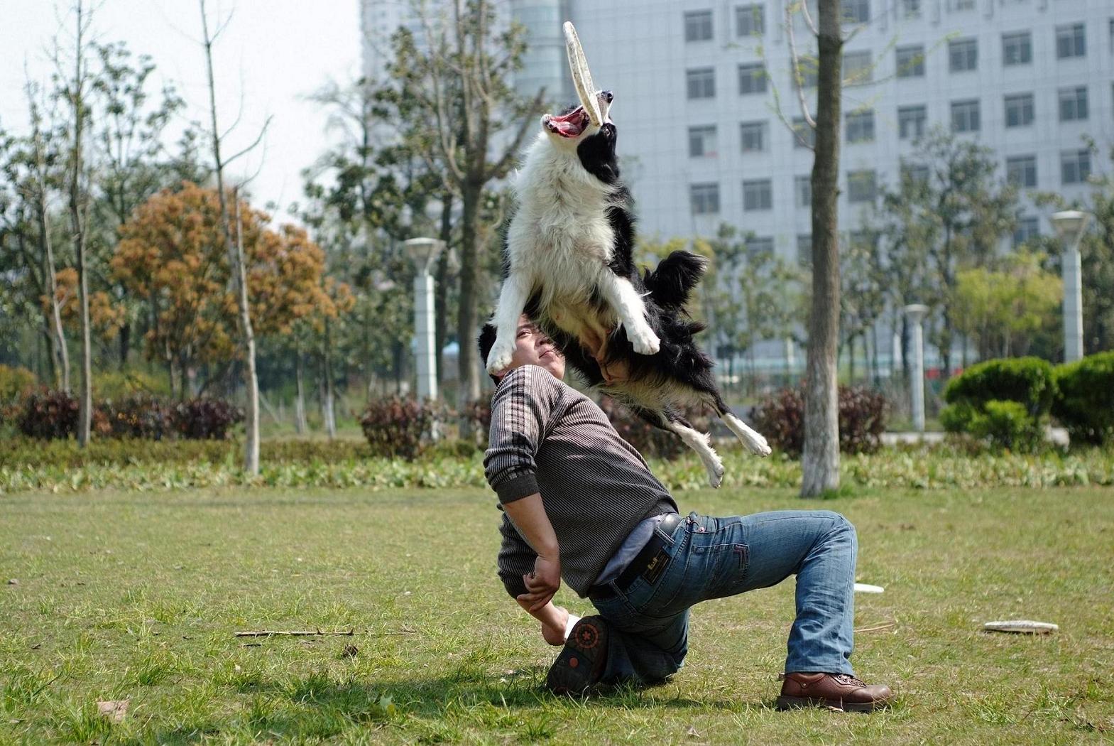 看看我家希茜的表演秀