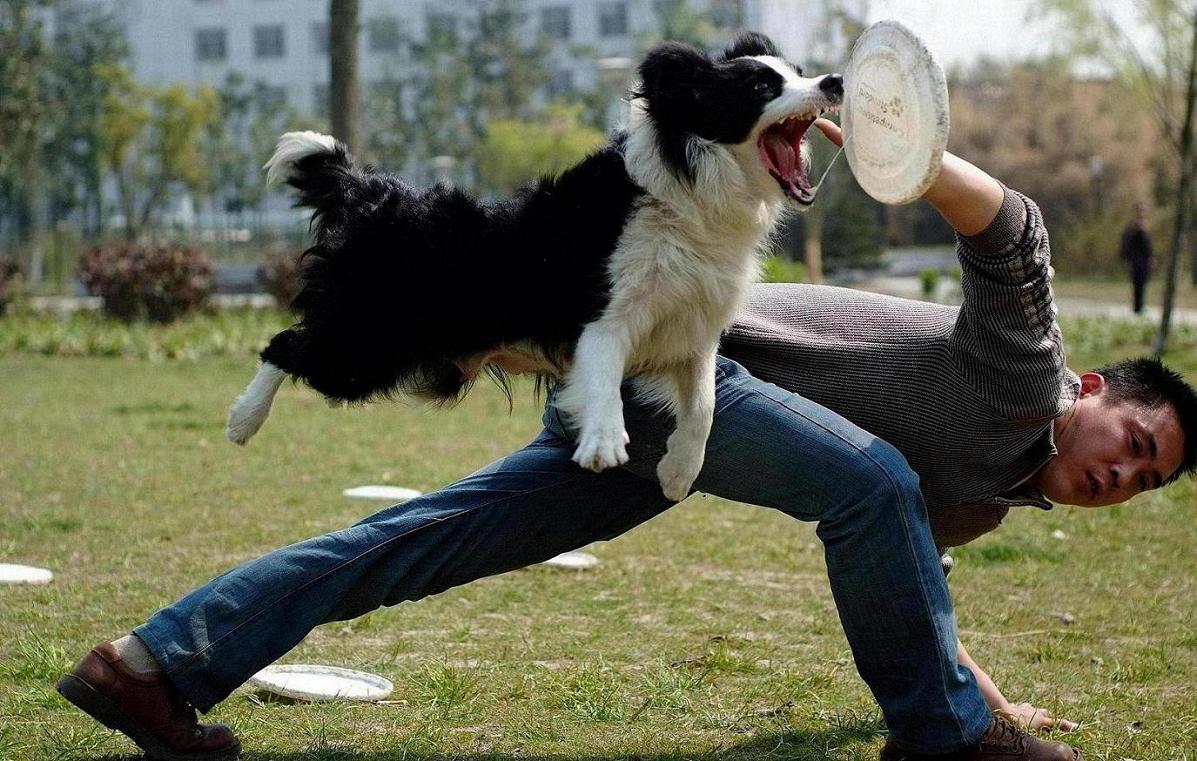 看看我家希茜的表演秀