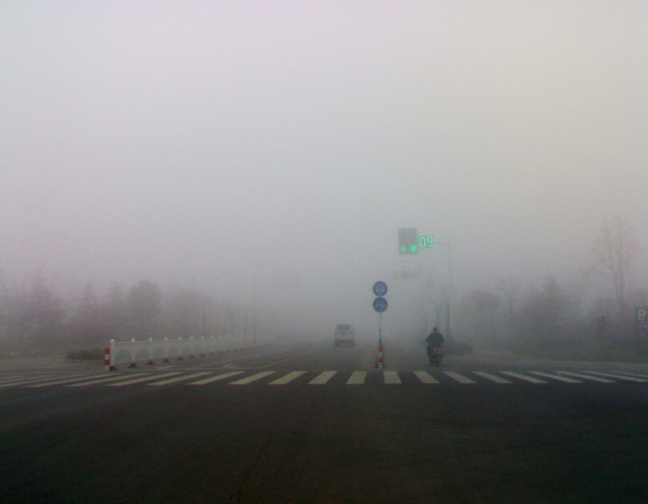 真实版《迷雾》