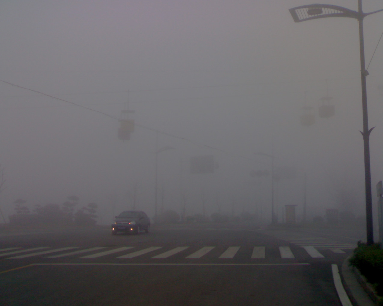 真实版《迷雾》