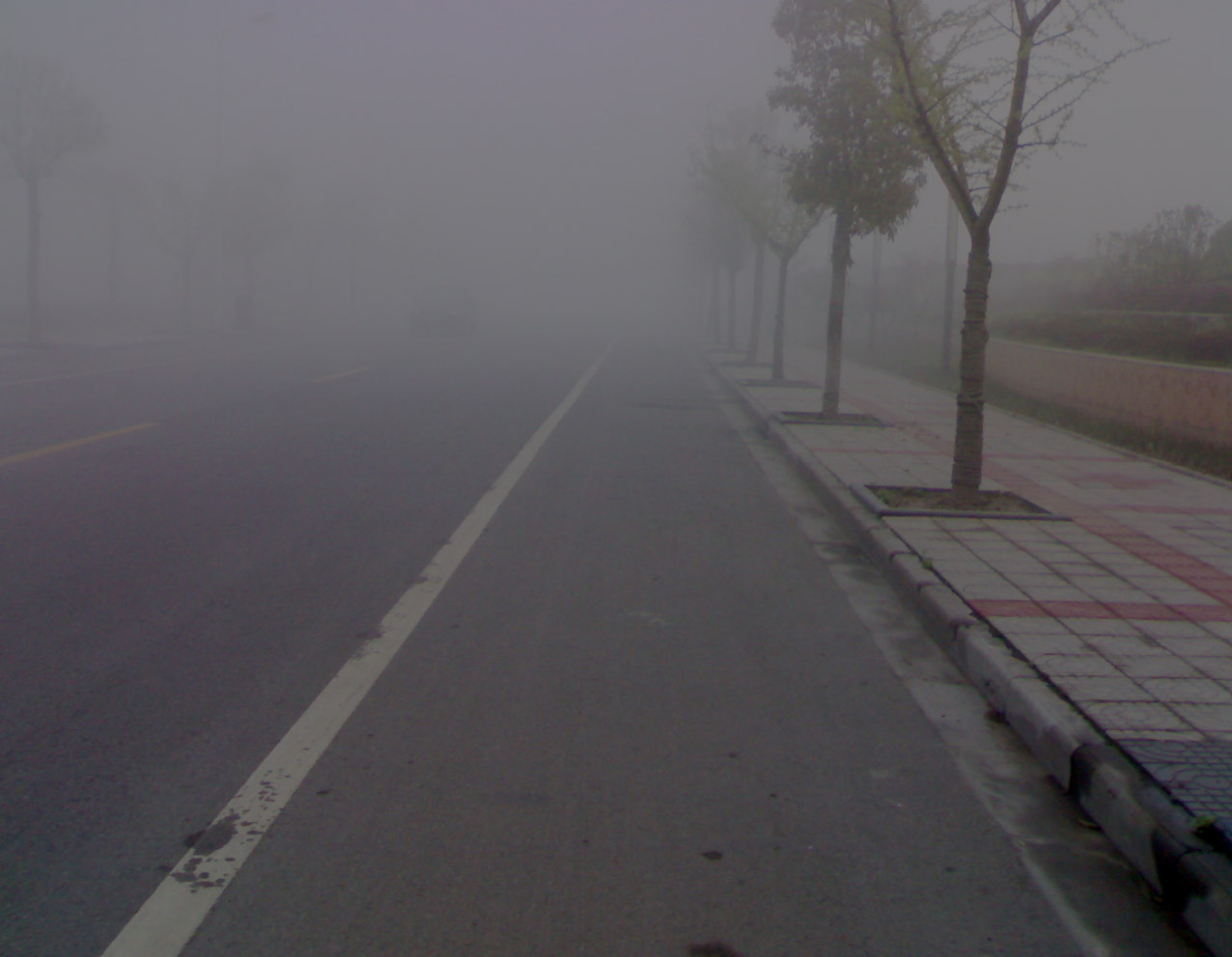 真实版《迷雾》