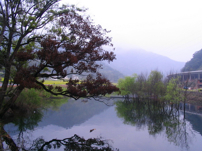 [原创]又见菜花黄－－清明江西婺源行
