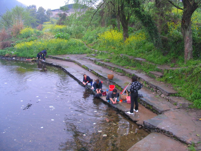 [原创]又见菜花黄－－清明江西婺源行