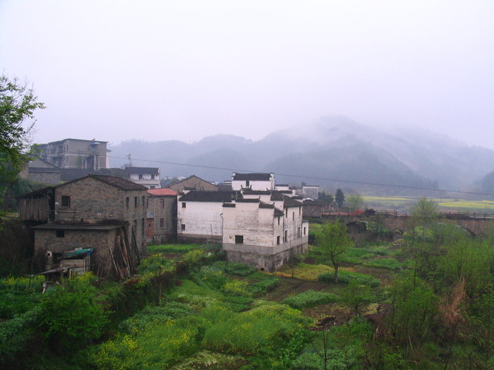 [原创]又见菜花黄－－清明江西婺源行