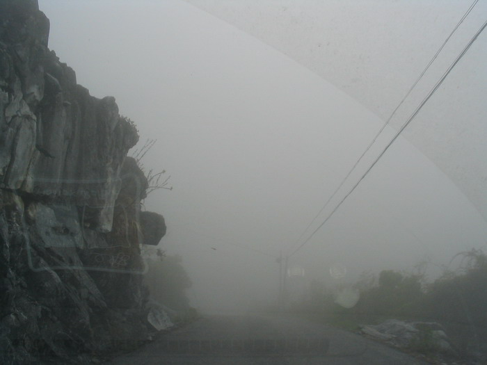 [原创]又见菜花黄－－清明江西婺源行