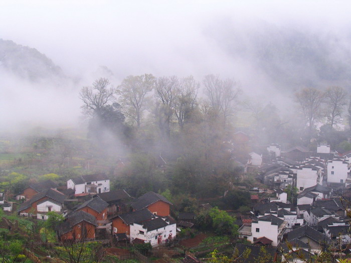 [原创]又见菜花黄－－清明江西婺源行