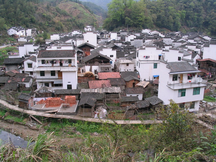 [原创]又见菜花黄－－清明江西婺源行