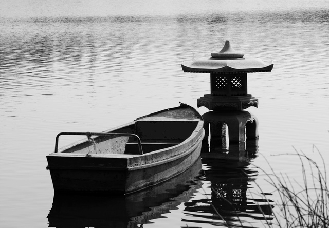 杂片(忧伤的豹~)