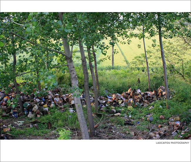 ~~~~长青沙，长青沙~~~~