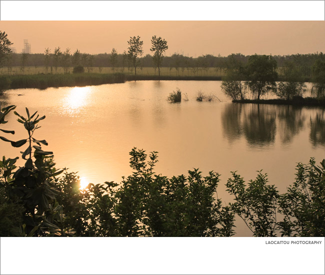 ~~~~长青沙，长青沙~~~~