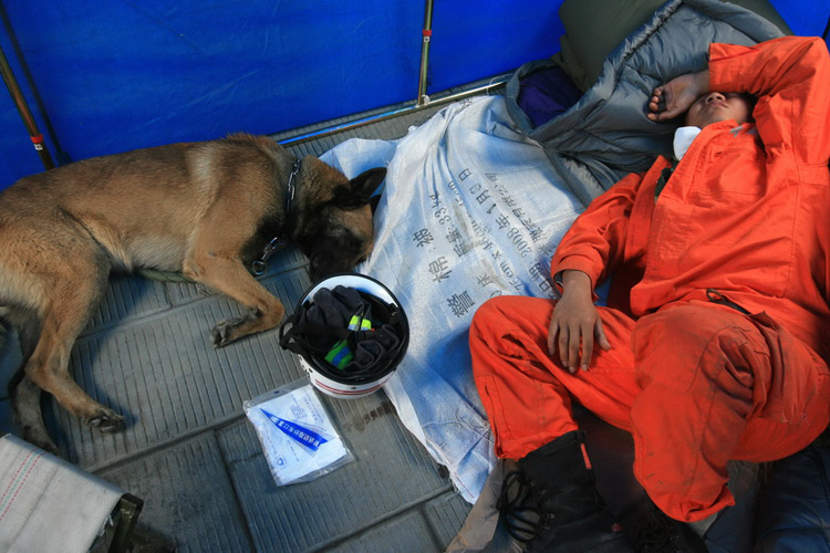 ~~~~汶川挺住!!!（集中贴图）~~~~