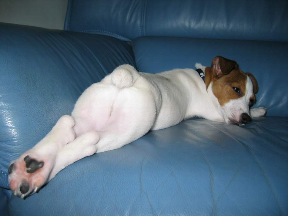 肥臀！美腿！性感的眼神！