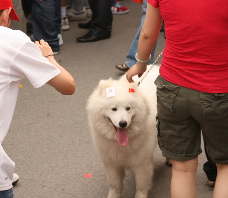 [原创]圣火传递在南通