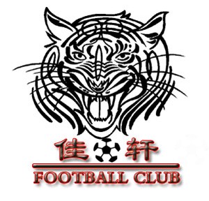 本次濠滨佳轩出战足协杯奖励如下