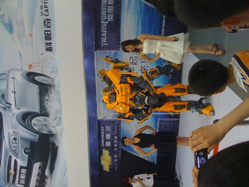 5.1偶遇了大黄蜂~~~~~~~~~