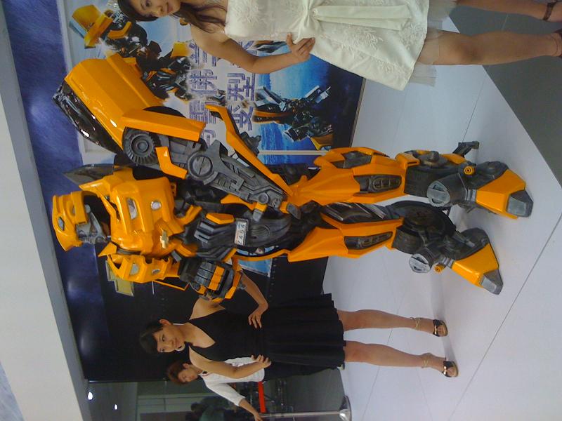 5.1偶遇了大黄蜂~~~~~~~~~