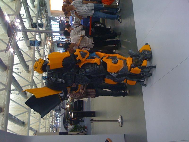 5.1偶遇了大黄蜂~~~~~~~~~