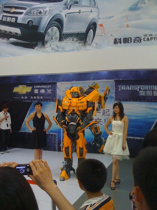 5.1偶遇了大黄蜂~~~~~~~~~