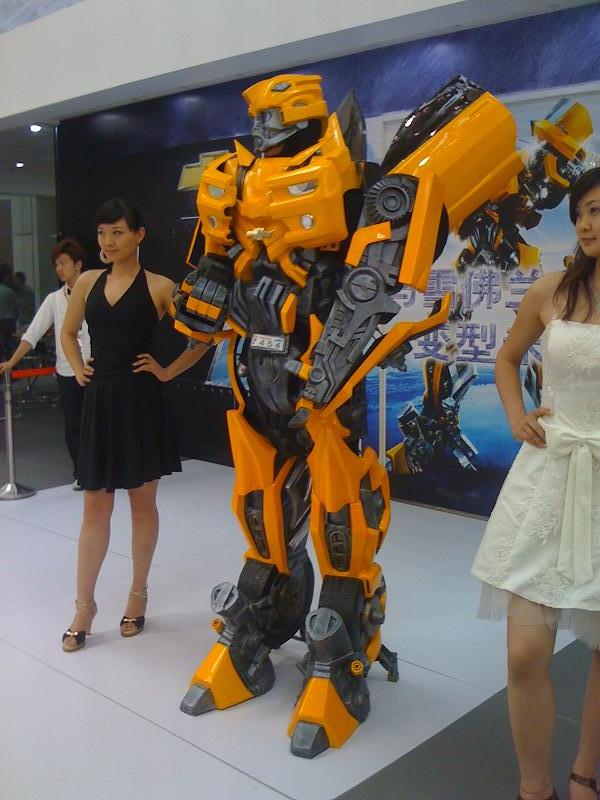 5.1偶遇了大黄蜂~~~~~~~~~