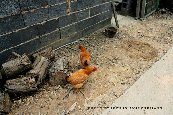 [原创]安吉图记