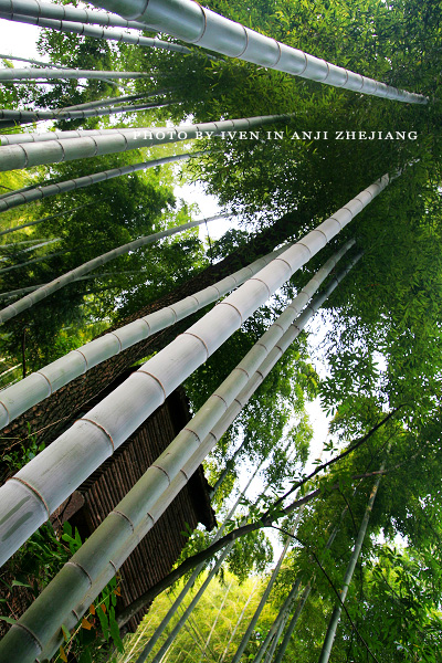 [原创]安吉图记