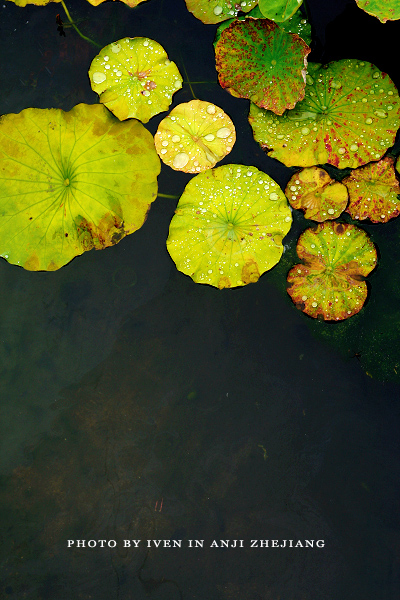 [原创]安吉图记
