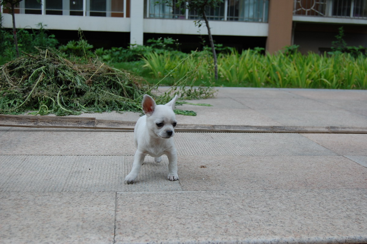 换了新环境了,来pp了