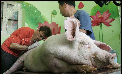 纹身现在确实比较时髦!