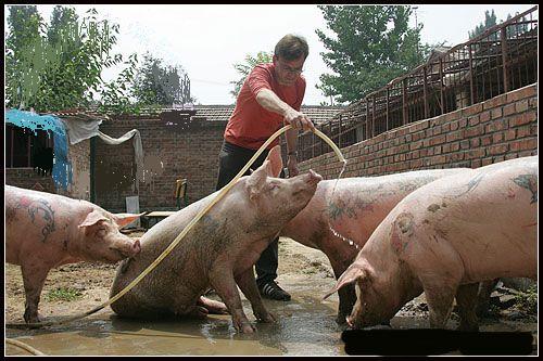 纹身现在确实比较时髦!