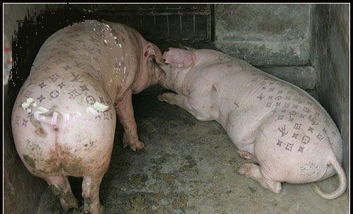 纹身现在确实比较时髦!