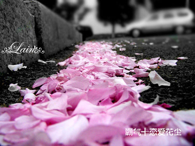 我在那一角落患过伤风