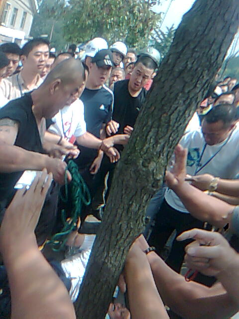 老百姓无端被打,幕后竟然是政府