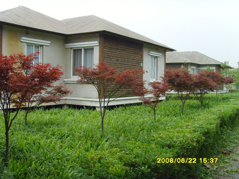 我终于改好照片了～～