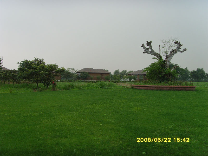 我终于改好照片了～～