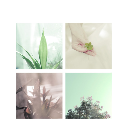 祝我生日快乐~~~