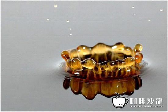 转贴！牛奶与咖啡的美妙瞬间！与君共赏！