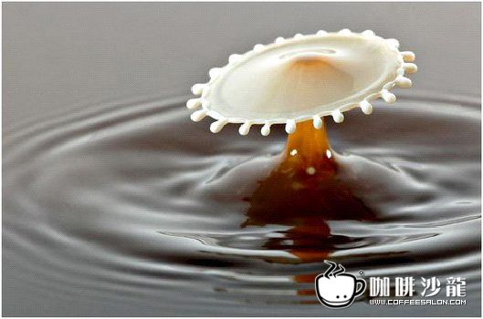 转贴！牛奶与咖啡的美妙瞬间！与君共赏！