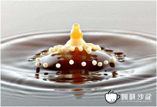 转贴！牛奶与咖啡的美妙瞬间！与君共赏！