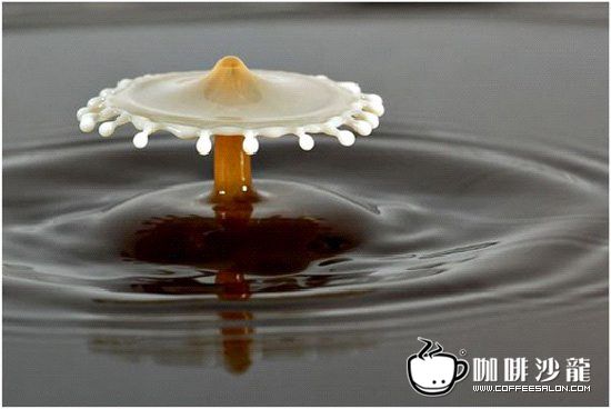 转贴！牛奶与咖啡的美妙瞬间！与君共赏！