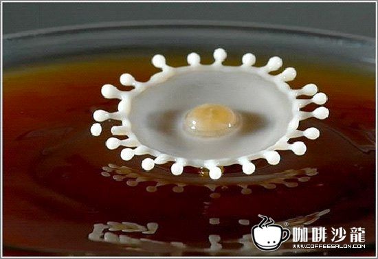 转贴！牛奶与咖啡的美妙瞬间！与君共赏！