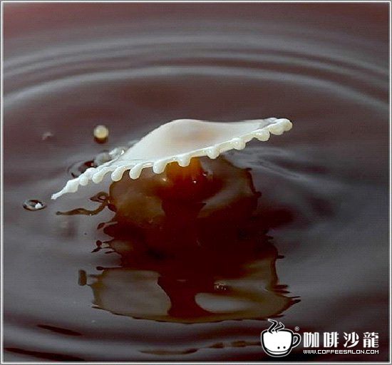 转贴！牛奶与咖啡的美妙瞬间！与君共赏！