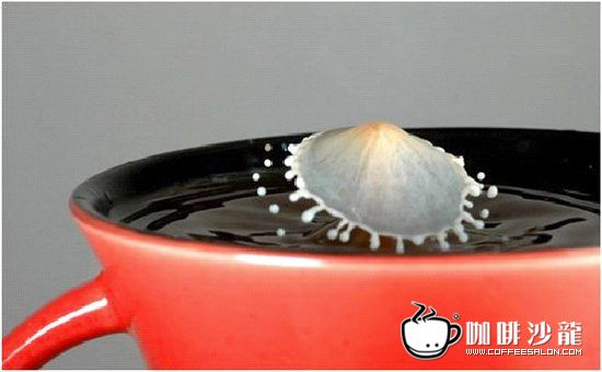 转贴！牛奶与咖啡的美妙瞬间！与君共赏！