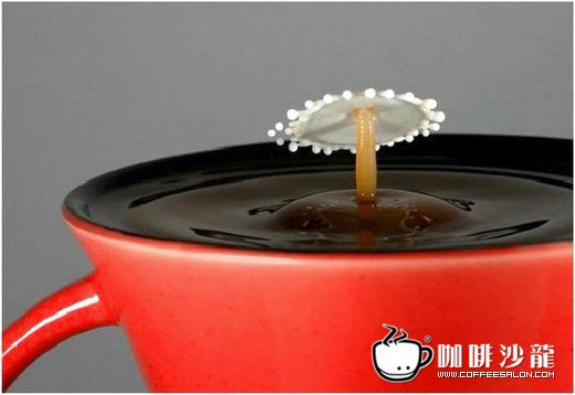 转贴！牛奶与咖啡的美妙瞬间！与君共赏！