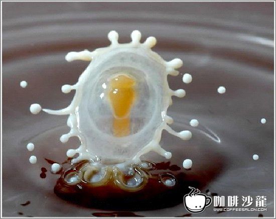 转贴！牛奶与咖啡的美妙瞬间！与君共赏！