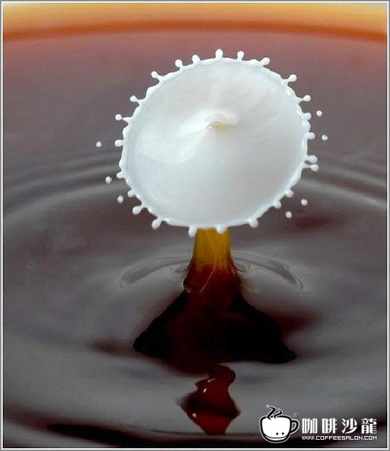 转贴！牛奶与咖啡的美妙瞬间！与君共赏！
