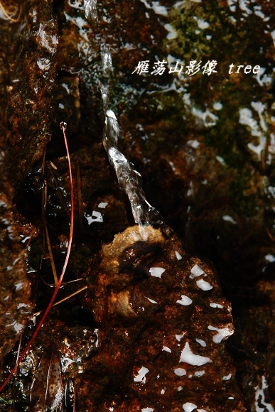 [原创]雁荡山影像