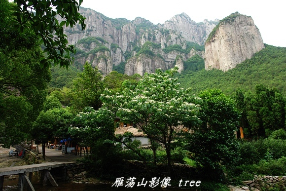 [原创]雁荡山影像