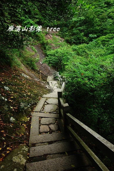 [原创]雁荡山影像